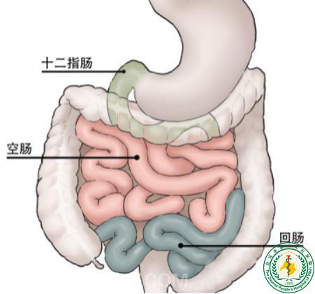 θ�����С������6Сʱ�������������ѪԪ��