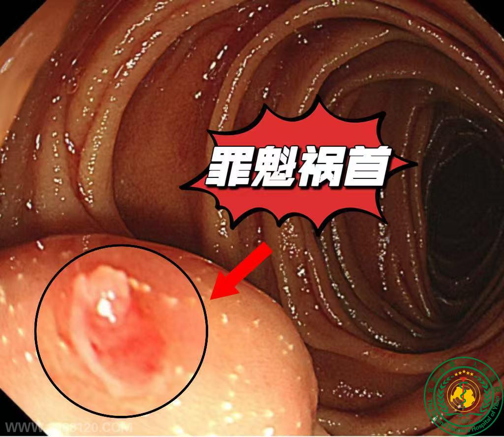 θ�����С������6Сʱ�������������ѪԪ��