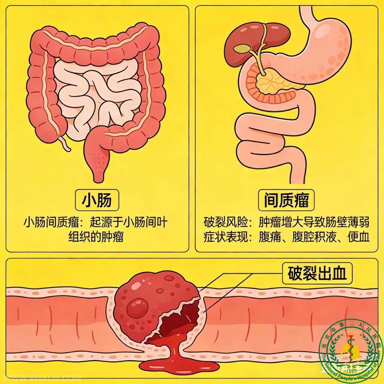 θ�����С������6Сʱ�������������ѪԪ��